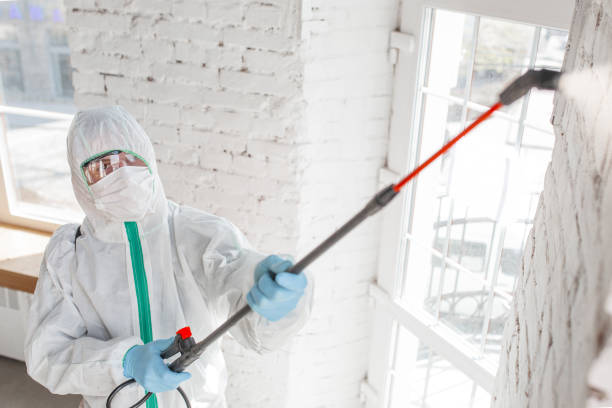 Best Mold-Related Health Consultation  in Forestde, AL