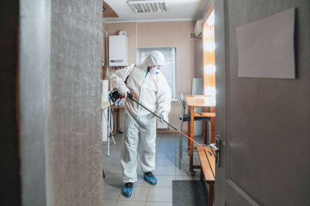 Best Indoor Air Quality Assessment  in Forestde, AL