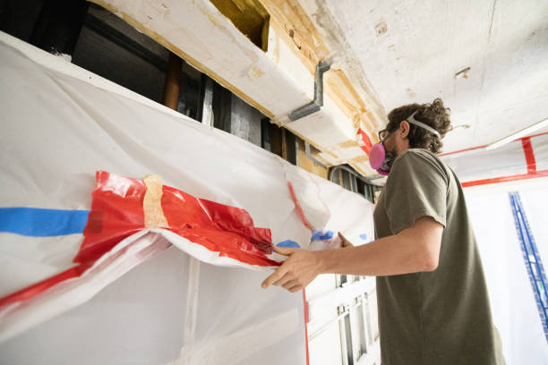 Best Black Mold Removal  in Forestde, AL