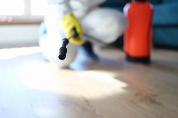 Best Mold Documentation for Insurance Claims  in Forestde, AL