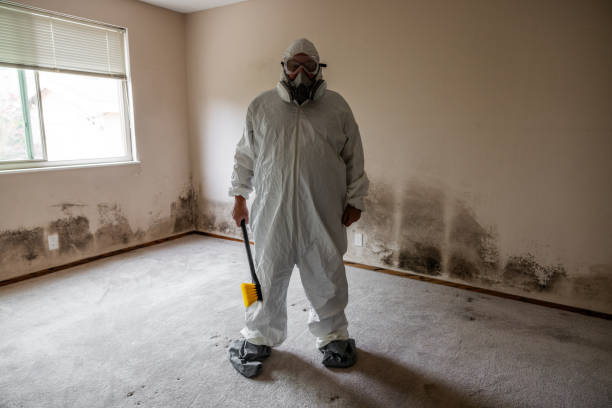 Biohazard Mold Removal in Forestdale, AL
