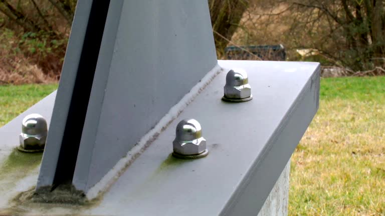 Forensic Mold Investigation in Forestdale, AL